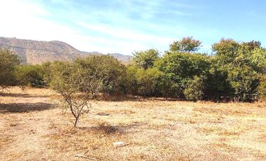 Vendo Terreno Industrial, Curacaví, Superficie 10.152 m2