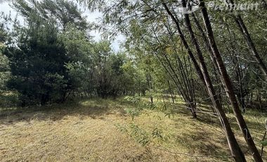 Parcela en Venta en A 20 Km de Villarrica sector Escuela Agricola de Villarrica