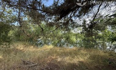 Parcela en Venta en A 20 Km de Villarrica sector Escuela Agricola de Villarrica