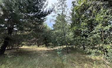 Parcela en Venta en A 20 Km de Villarrica sector Escuela Agricola de Villarrica
