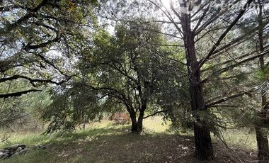 Parcela en Venta en A 20 Km de Villarrica sector Escuela Agricola de Villarrica