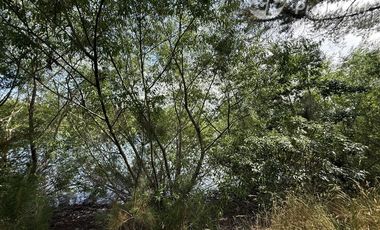 Parcela en Venta en A 20 Km de Villarrica sector Escuela Agricola de Villarrica