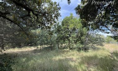 Parcela en Venta en A 20 Km de Villarrica sector Escuela Agricola de Villarrica