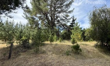 Parcela en Venta en A 20 Km de Villarrica sector Escuela Agricola de Villarrica