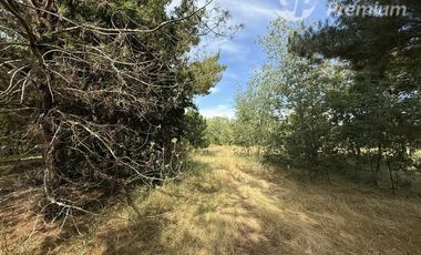 Parcela en Venta en A 20 Km de Villarrica sector Escuela Agricola de Villarrica