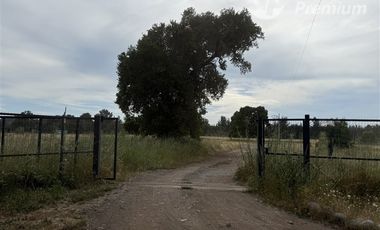 Parcela en Venta en A 20 Km de Villarrica sector Escuela Agricola de Villarrica