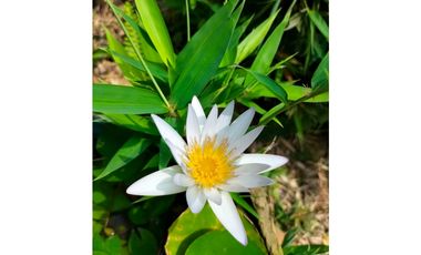 Coworking Terapéutico Holístico cerca a Cristo Rey en Cali