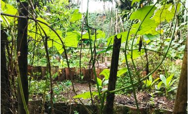 Coworking Terapéutico Holístico cerca a Cristo Rey en Cali