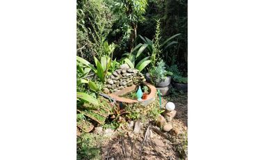 Coworking Terapéutico Holístico cerca a Cristo Rey en Cali