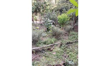 Coworking Terapéutico Holístico cerca a Cristo Rey en Cali