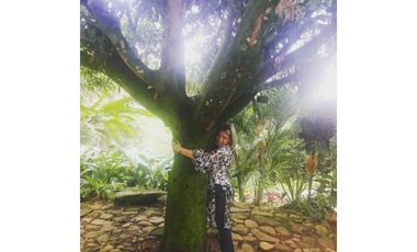 Coworking Terapéutico Holístico cerca a Cristo Rey en Cali