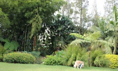 Casa en Arriendo en Rionegro sector el Canadá