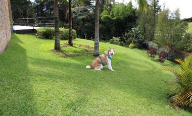 Casa en Arriendo en Rionegro sector el Canadá