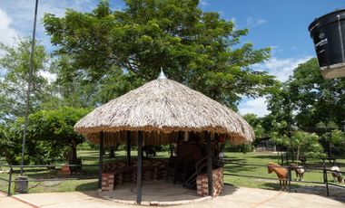 Hacienda/Finca venta de Lujo Flandes Tolima 7Ha. colinda Río Magdalena
