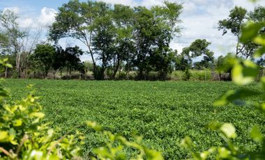 Hacienda/Finca venta de Lujo Flandes Tolima 7Ha. colinda Río Magdalena