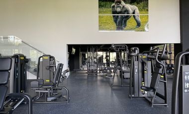 Renta Moderno departamento  2 recamaras en El Bosque Vista Hermosa