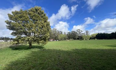 ALQUILER USO COMERCIAL | CASA QUINTA 1Ha | AV J NEWBERY 1000