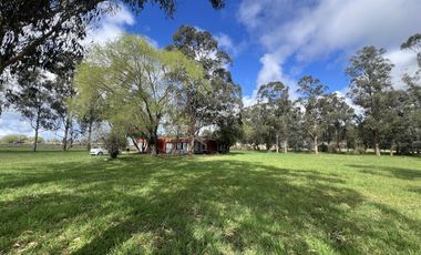 ALQUILER USO COMERCIAL | CASA QUINTA 1Ha | AV J NEWBERY 1000