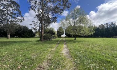 ALQUILER USO COMERCIAL | CASA QUINTA 1Ha | AV J NEWBERY 1000