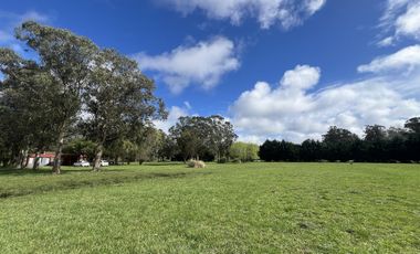 ALQUILER USO COMERCIAL | CASA QUINTA 1Ha | AV J NEWBERY 1000