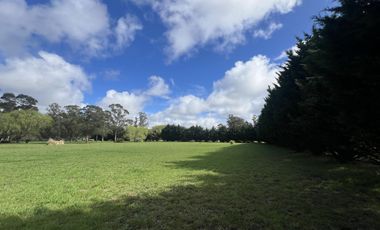 ALQUILER USO COMERCIAL | CASA QUINTA 1Ha | AV J NEWBERY 1000