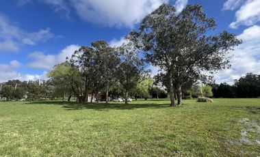 ALQUILER USO COMERCIAL | CASA QUINTA 1Ha | AV J NEWBERY 1000