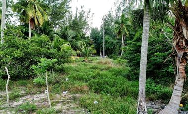VENTA DE LOTES FRENTE A UNA DE LAS MEJORES PLAYAS DE TUXPAN,VER.