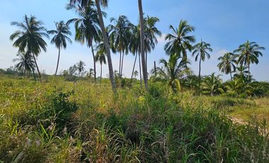 VENTA DE LOTES FRENTE A UNA DE LAS MEJORES PLAYAS DE TUXPAN,VER.