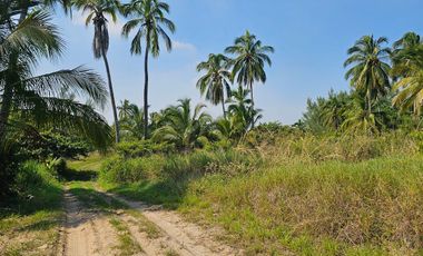 VENTA DE LOTES FRENTE A UNA DE LAS MEJORES PLAYAS DE TUXPAN,VER.