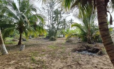 VENTA DE LOTES FRENTE A UNA DE LAS MEJORES PLAYAS DE TUXPAN,VER.