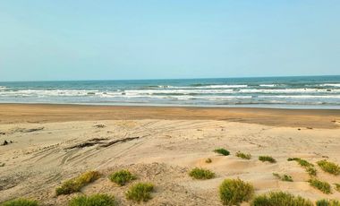 VENTA DE LOTES FRENTE A UNA DE LAS MEJORES PLAYAS DE TUXPAN,VER.