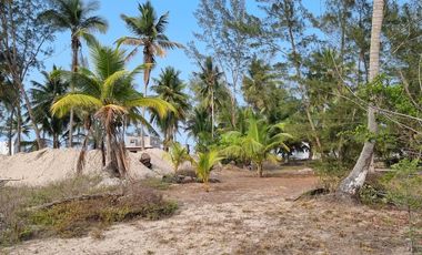 VENTA DE LOTES FRENTE A UNA DE LAS MEJORES PLAYAS DE TUXPAN,VER.