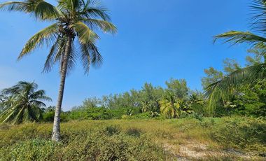 VENTA DE LOTES FRENTE A UNA DE LAS MEJORES PLAYAS DE TUXPAN,VER.