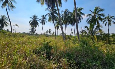 VENTA DE LOTES FRENTE A UNA DE LAS MEJORES PLAYAS DE TUXPAN,VER.