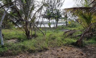 VENTA DE LOTES FRENTE A UNA DE LAS MEJORES PLAYAS DE TUXPAN,VER.