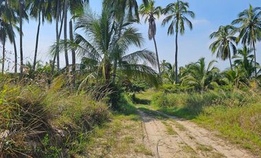 VENTA DE LOTES FRENTE A UNA DE LAS MEJORES PLAYAS DE TUXPAN,VER.