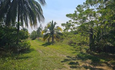 VENTA DE LOTES FRENTE A UNA DE LAS MEJORES PLAYAS DE TUXPAN,VER.