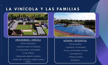 Venta de Terrenos con Corredor Vinícola en Bernal