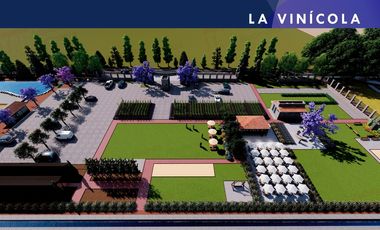 Venta de Terrenos con Corredor Vinícola en Bernal