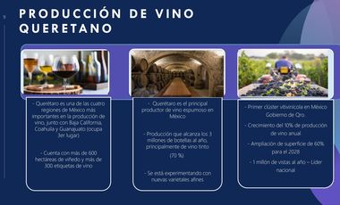 Venta de Terrenos con Corredor Vinícola en Bernal