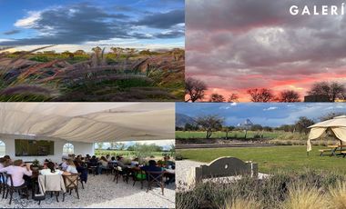 Venta de Terrenos con Corredor Vinícola en Bernal