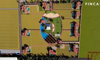 Venta de Terrenos con Corredor Vinícola en Bernal