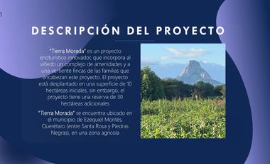 Venta de Terrenos con Corredor Vinícola en Bernal