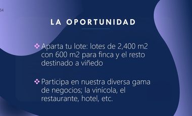 Venta de Terrenos con Corredor Vinícola en Bernal