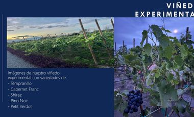 Venta de Terrenos con Corredor Vinícola en Bernal