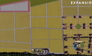 Venta de Terrenos con Corredor Vinícola en Bernal