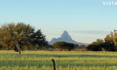 Venta de Terrenos con Corredor Vinícola en Bernal