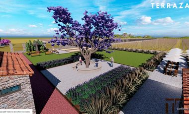 Venta de Terrenos con Corredor Vinícola en Bernal