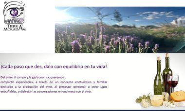 Venta de Terrenos con Corredor Vinícola en Bernal
