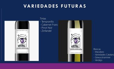 Venta de Terrenos con Corredor Vinícola en Bernal